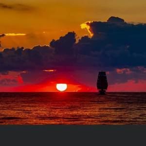 Meet your Posher, Tommy